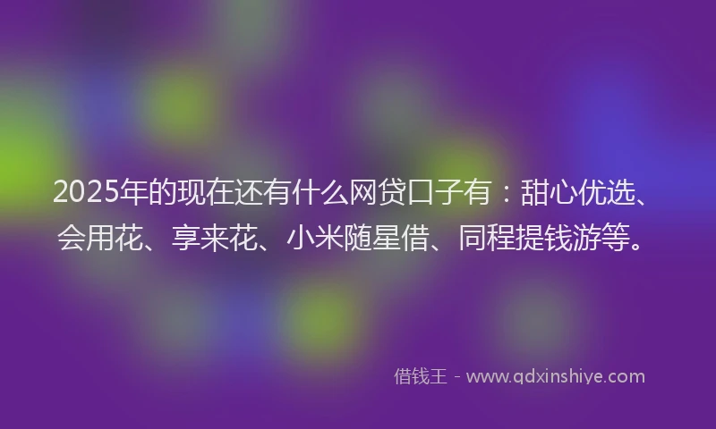 2025年的现在还有什么网贷口子有：甜心优选、会用花、享来花、小米随星借、同程提钱游等。