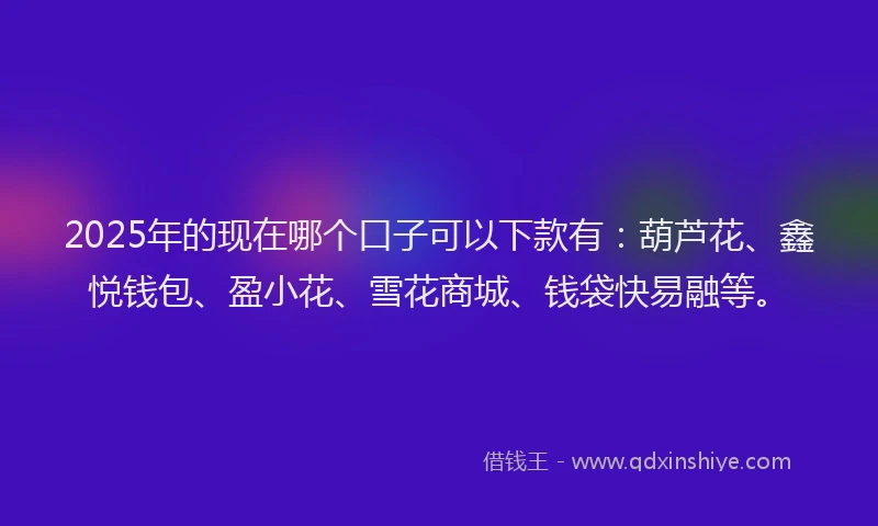 2025年的现在哪个口子可以下款有：葫芦花、鑫悦钱包、盈小花、雪花商城、钱袋快易融等。