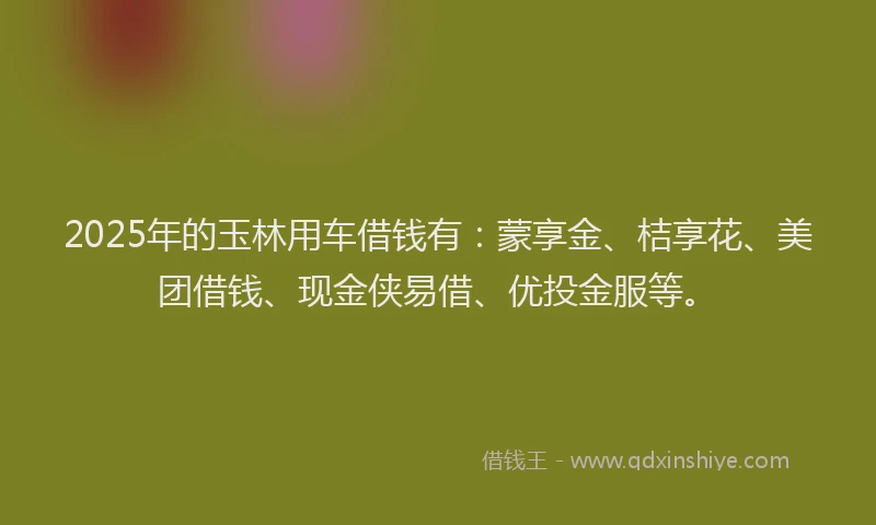 2025年的玉林用车借钱有：蒙享金、桔享花、美团借钱、现金侠易借、优投金服等。