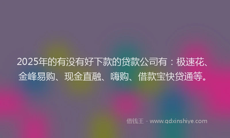2025年的有没有好下款的贷款公司有：极速花、金峰易购、现金直融、嗨购、借款宝快贷通等。