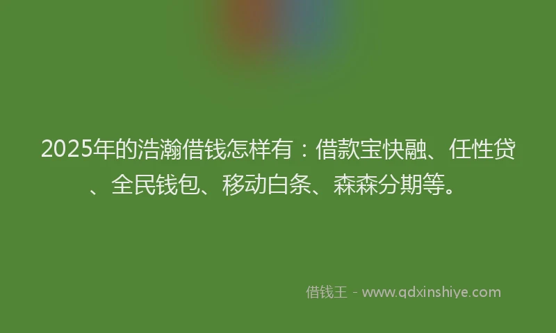 2025年的浩瀚借钱怎样有：借款宝快融、任性贷、全民钱包、移动白条、森森分期等。