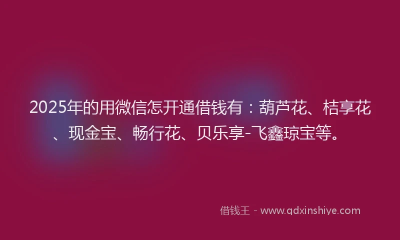 2025年的用微信怎开通借钱有：葫芦花、桔享花、现金宝、畅行花、贝乐享-飞鑫琼宝等。