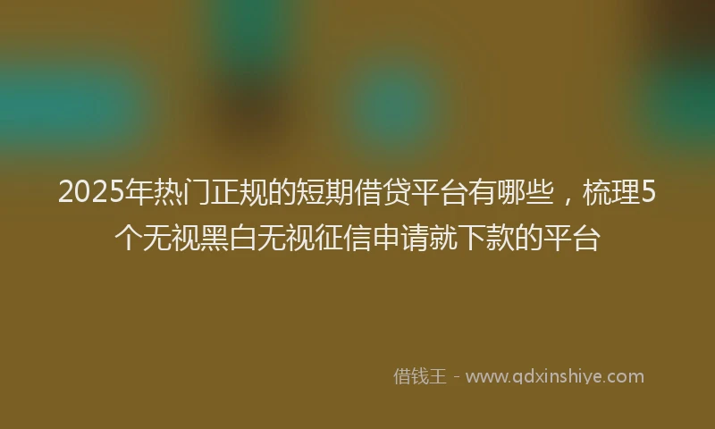 2025年热门正规的短期借贷平台有哪些，梳理5个无视黑白无视征信申请就下款的平台