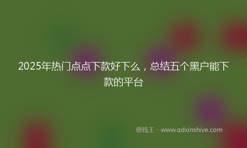 2025年热门点点下款好下么，总结五个黑户能下款的平台