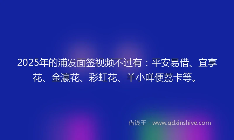 2025年的浦发面签视频不过有：平安易借、宜享花、金瀛花、彩虹花、羊小咩便荔卡等。