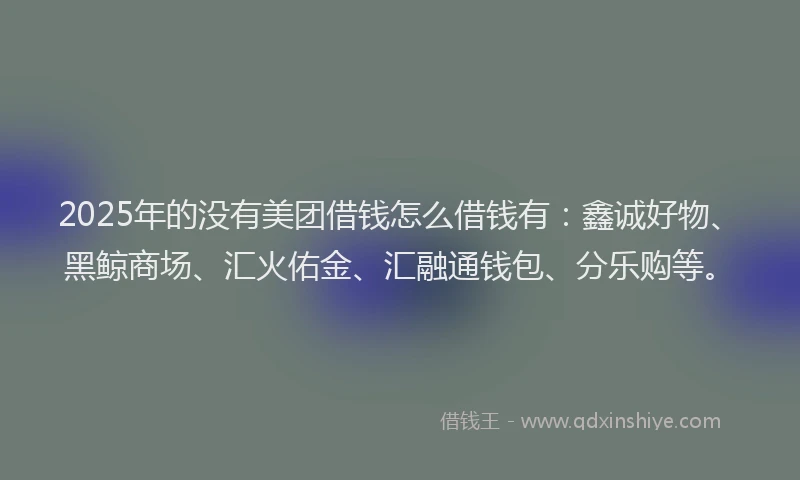 2025年的没有美团借钱怎么借钱有：鑫诚好物、黑鲸商场、汇火佑金、汇融通钱包、分乐购等。