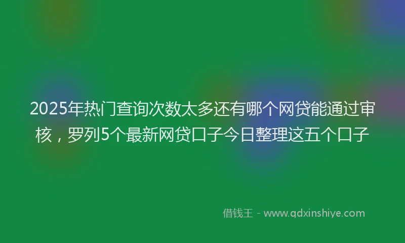 2025年热门查询次数太多还有哪个网贷能通过审核，罗列5个最新网贷口子今日整理这五个口子