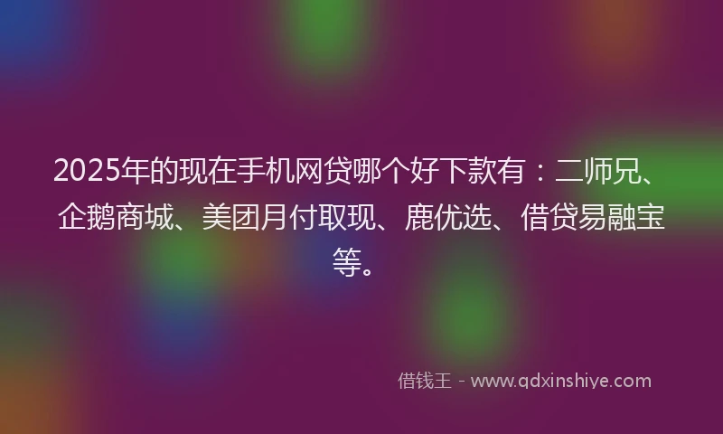2025年的现在手机网贷哪个好下款有：二师兄、企鹅商城、美团月付取现、鹿优选、借贷易融宝等。