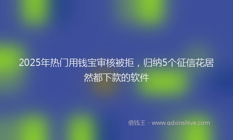 2025年热门用钱宝审核被拒，归纳5个征信花居然都下款的软件