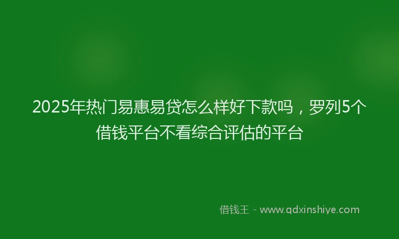 2025年热门易惠易贷怎么样好下款吗，罗列5个借钱平台不看综合评估的平台