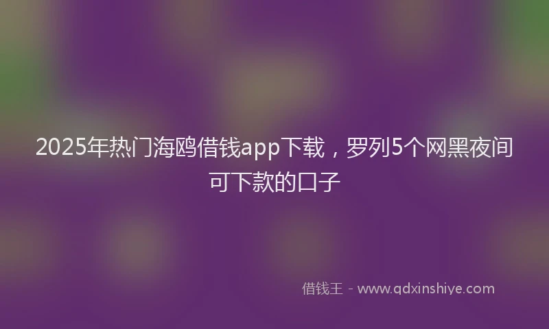 2025年热门海鸥借钱app下载，罗列5个网黑夜间可下款的口子