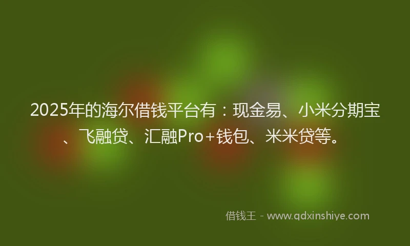 2025年的海尔借钱平台有：现金易、小米分期宝、飞融贷、汇融Pro+钱包、米米贷等。