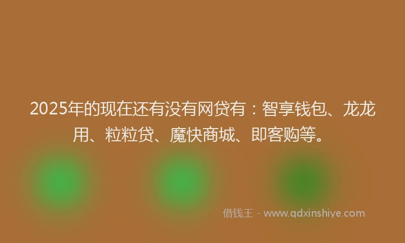 2025年的现在还有没有网贷有：智享钱包、龙龙用、粒粒贷、魔快商城、即客购等。