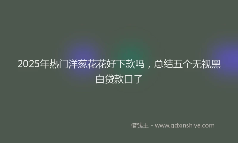 2025年热门洋葱花花好下款吗，总结五个无视黑白贷款口子