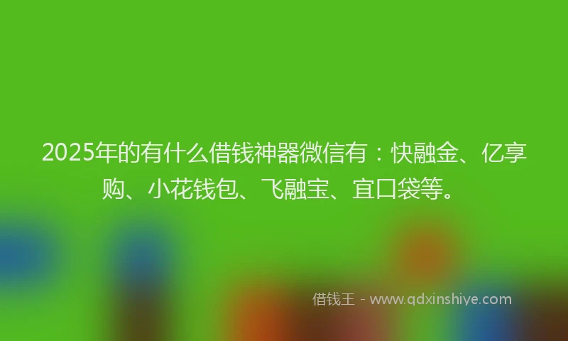 2025年的有什么借钱神器微信有：快融金、亿享购、小花钱包、飞融宝、宜口袋等。