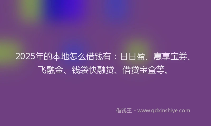 2025年的本地怎么借钱有：日日盈、惠享宝券、飞融金、钱袋快融贷、借贷宝盒等。