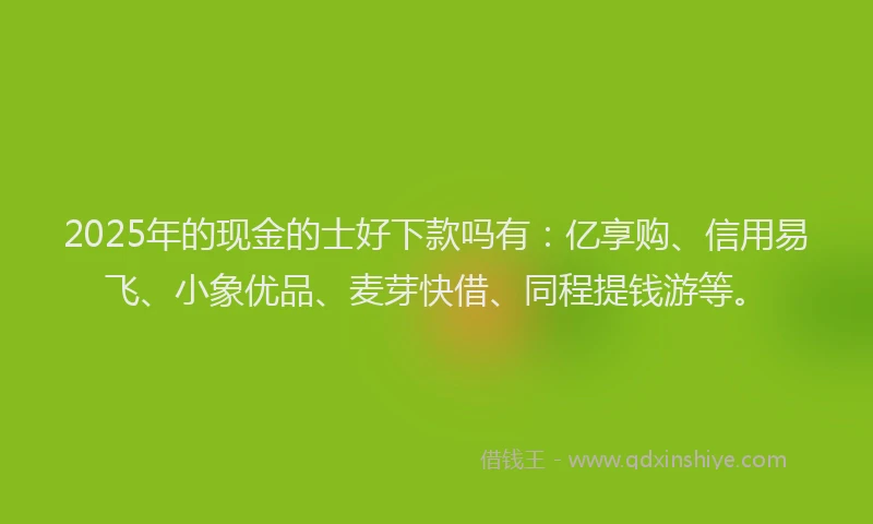 2025年的现金的士好下款吗有：亿享购、信用易飞、小象优品、麦芽快借、同程提钱游等。