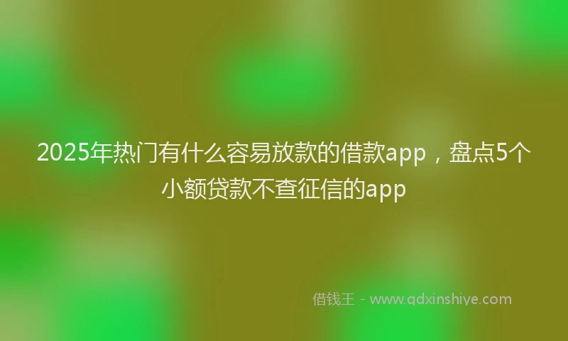 2025年热门有什么容易放款的借款app，盘点5个小额贷款不查征信的app