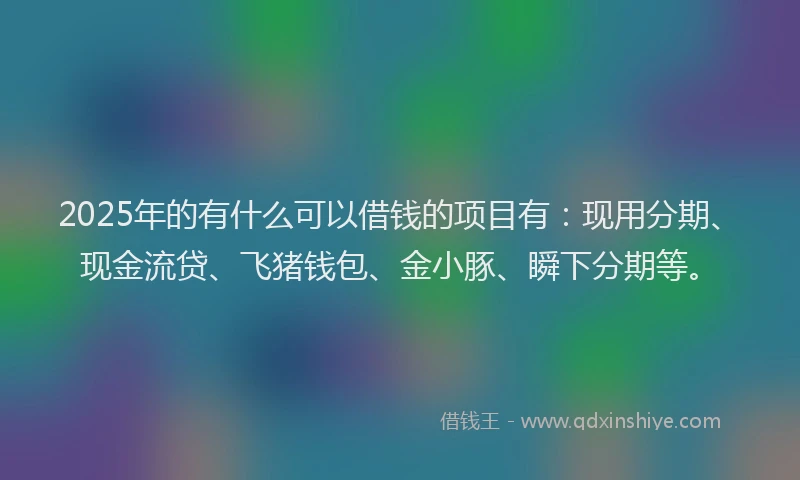 2025年的有什么可以借钱的项目有：现用分期、现金流贷、飞猪钱包、金小豚、瞬下分期等。