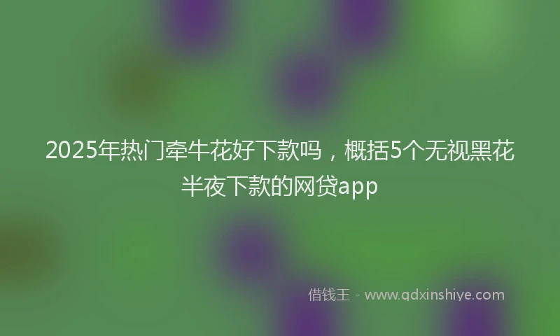 2025年热门牵牛花好下款吗，概括5个无视黑花半夜下款的网贷app