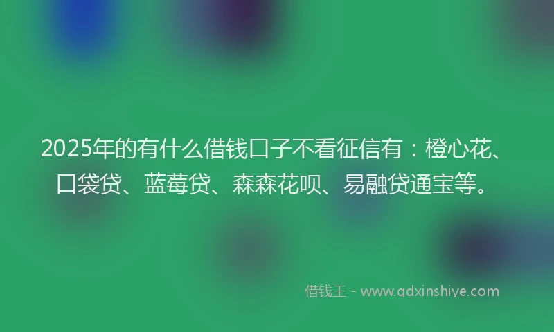 2025年的有什么借钱口子不看征信有：橙心花、口袋贷、蓝莓贷、森森花呗、易融贷通宝等。