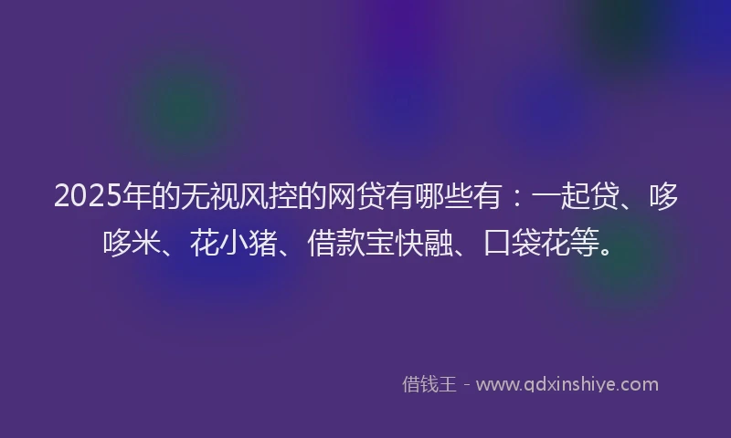 2025年的无视风控的网贷有哪些有：一起贷、哆哆米、花小猪、借款宝快融、口袋花等。