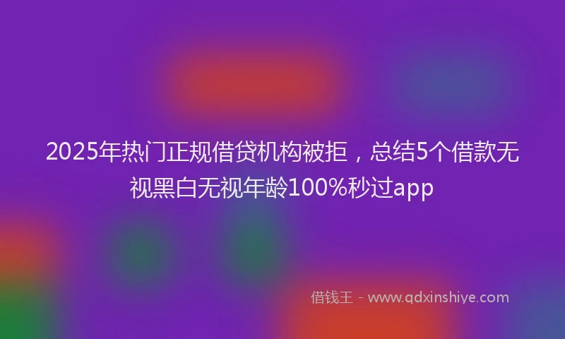 2025年热门正规借贷机构被拒，总结5个借款无视黑白无视年龄100%秒过app