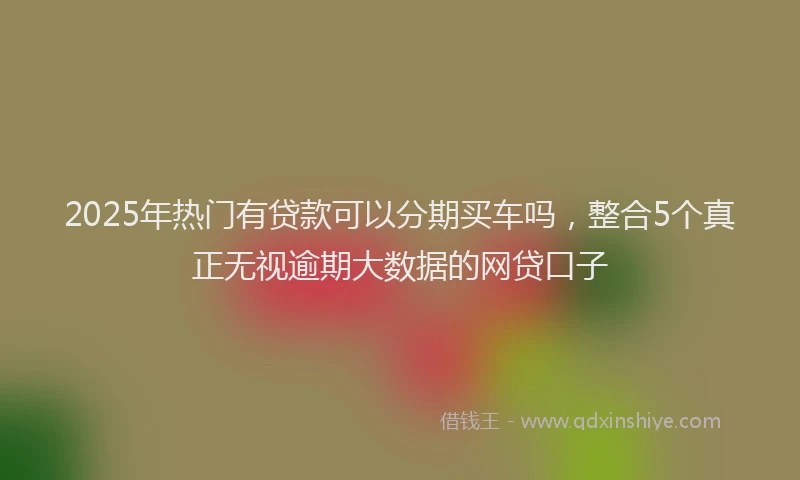 2025年热门有贷款可以分期买车吗，整合5个真正无视逾期大数据的网贷口子