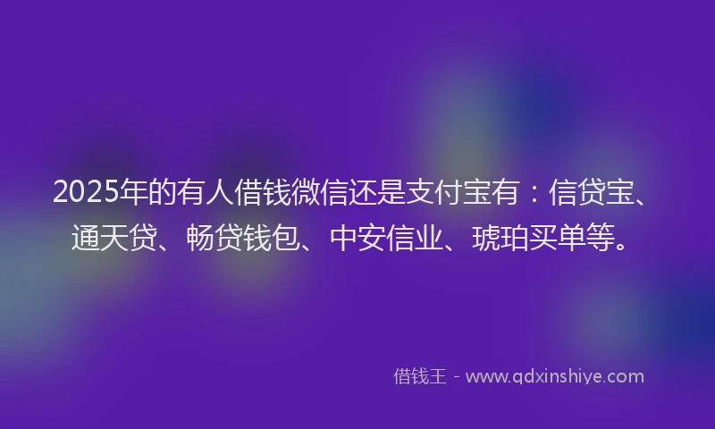 2025年的有人借钱微信还是支付宝有：信贷宝、通天贷、畅贷钱包、中安信业、琥珀买单等。