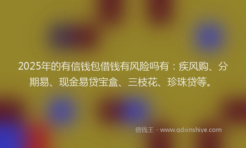 2025年的有信钱包借钱有风险吗有：疾风购、分期易、现金易贷宝盒、三枝花、珍珠贷等。