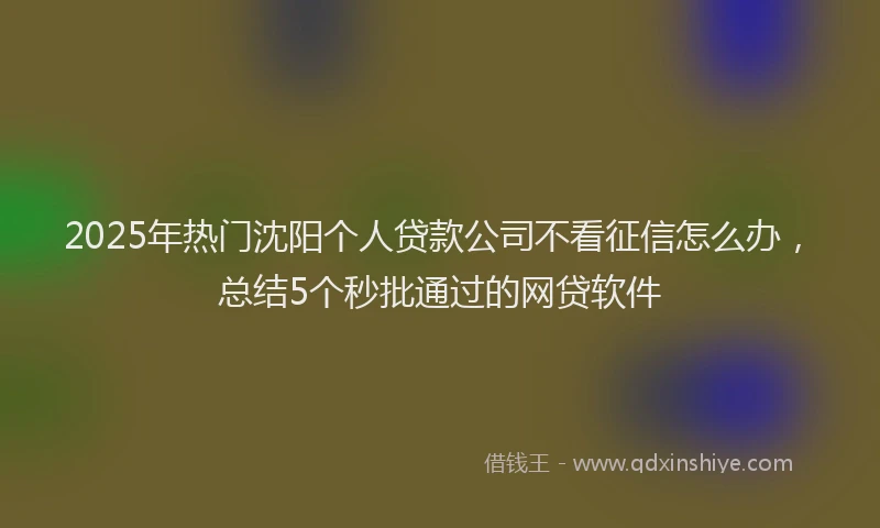 2025年热门沈阳个人贷款公司不看征信怎么办，总结5个秒批通过的网贷软件