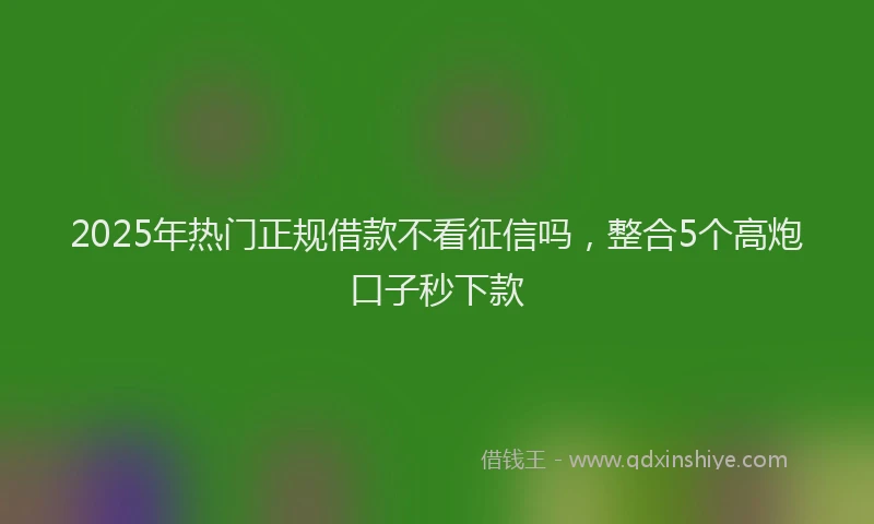 2025年热门正规借款不看征信吗，整合5个高炮口子秒下款