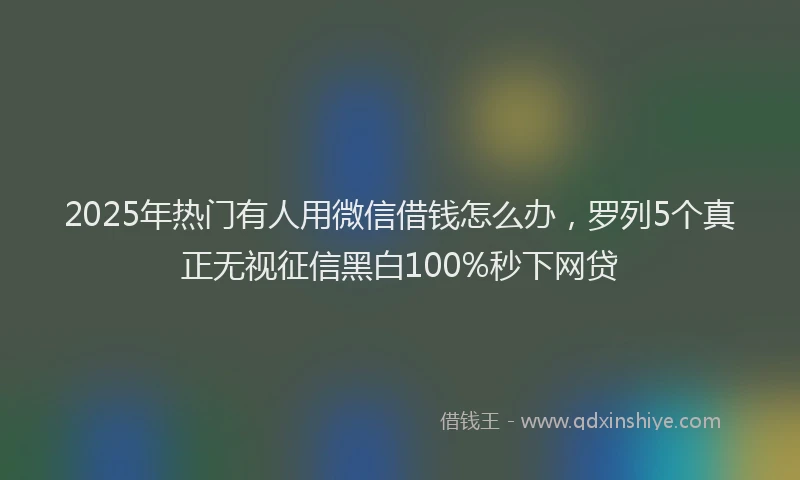 2025年热门有人用微信借钱怎么办，罗列5个真正无视征信黑白100%秒下网贷