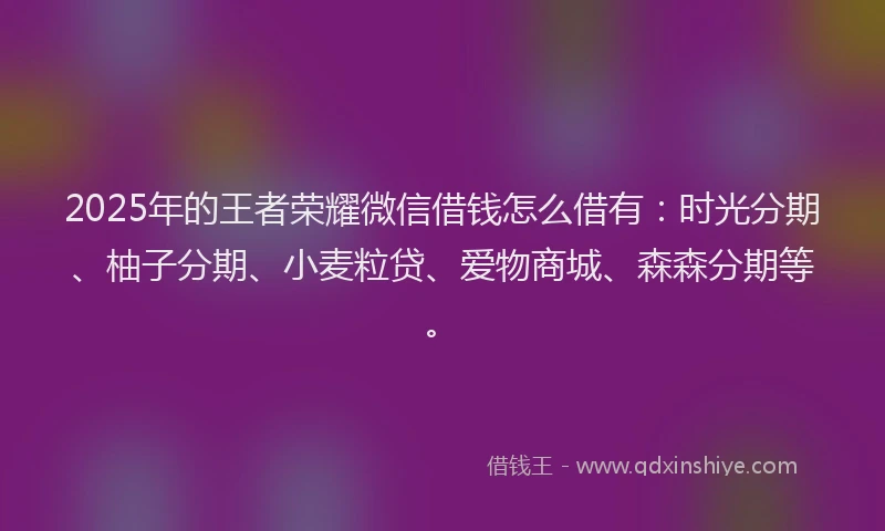 2025年的王者荣耀微信借钱怎么借有：时光分期、柚子分期、小麦粒贷、爱物商城、森森分期等。