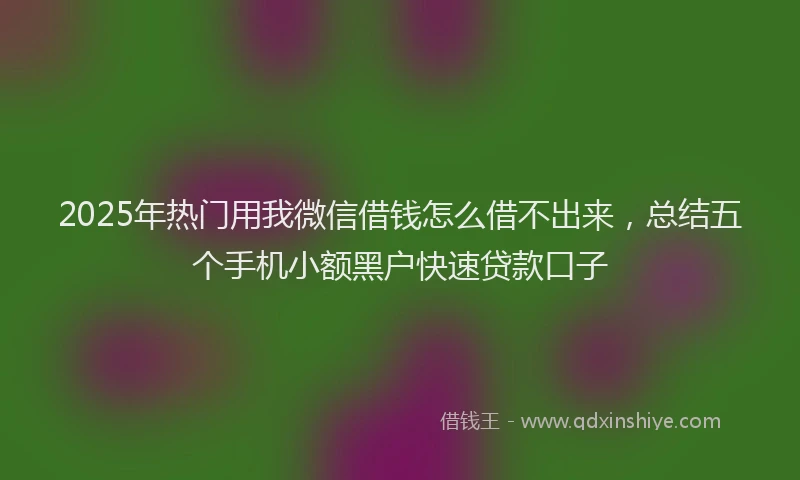 2025年热门用我微信借钱怎么借不出来，总结五个手机小额黑户快速贷款口子