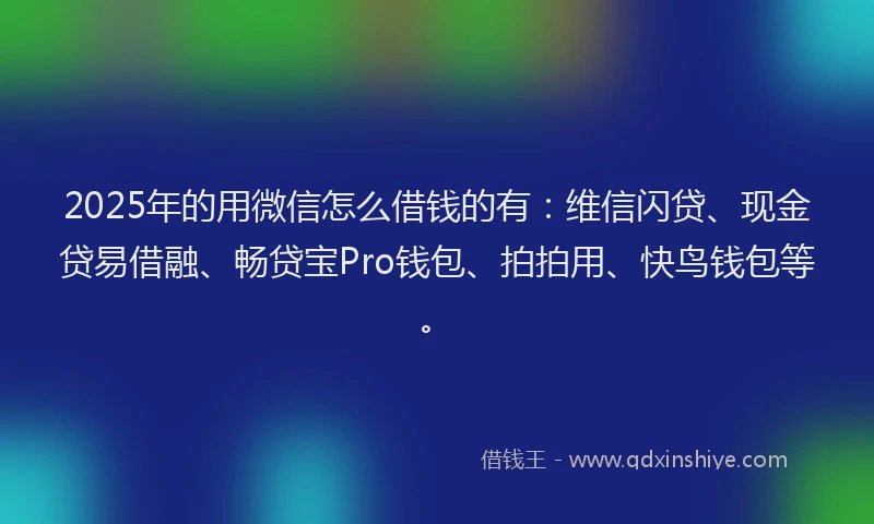 2025年的用微信怎么借钱的有：维信闪贷、现金贷易借融、畅贷宝Pro钱包、拍拍用、快鸟钱包等。