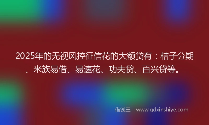 2025年的无视风控征信花的大额贷有：桔子分期、米族易借、易速花、功夫贷、百兴贷等。