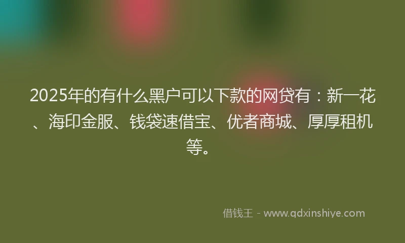 2025年的有什么黑户可以下款的网贷有：新一花、海印金服、钱袋速借宝、优者商城、厚厚租机等。