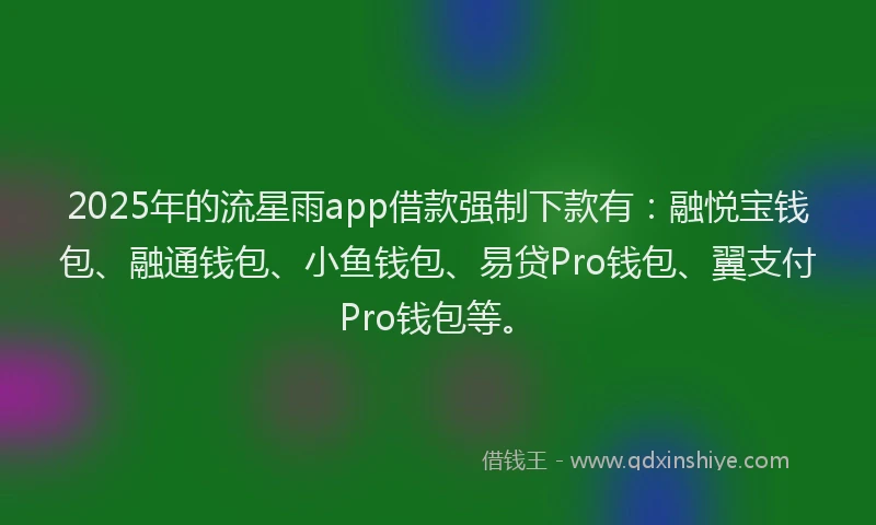 2025年的流星雨app借款强制下款有：融悦宝钱包、融通钱包、小鱼钱包、易贷Pro钱包、翼支付Pro钱包等。