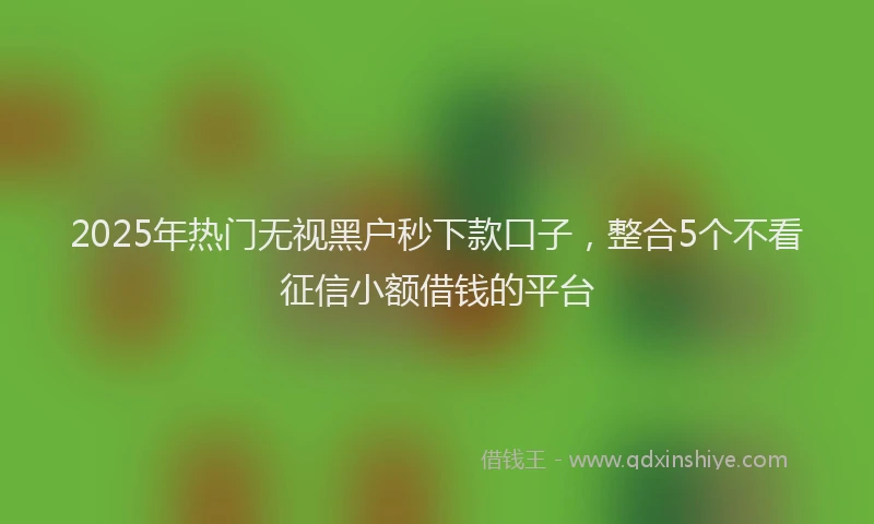 2025年热门无视黑户秒下款口子，整合5个不看征信小额借钱的平台