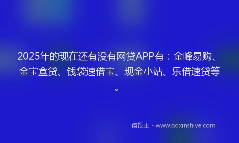 2025年的现在还有没有网贷APP有：金峰易购、金宝盒贷、钱袋速借宝、现金小站、乐借速贷等。