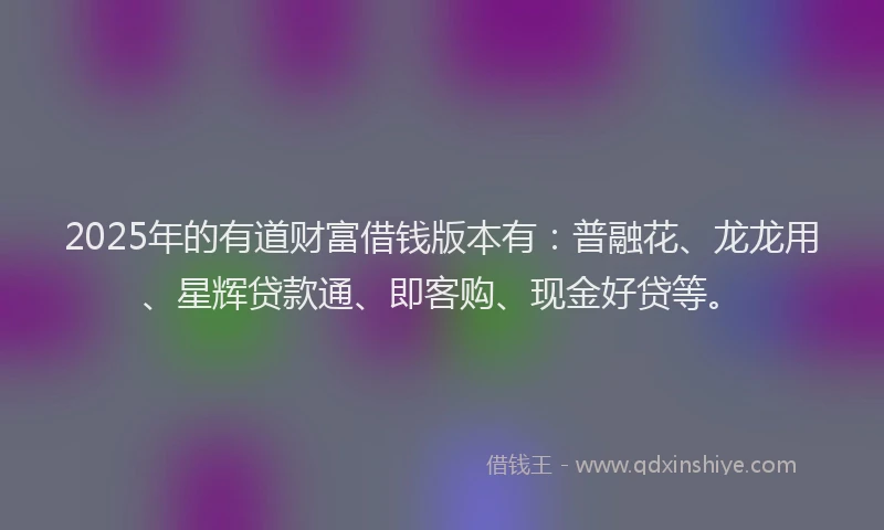 2025年的有道财富借钱版本有：普融花、龙龙用、星辉贷款通、即客购、现金好贷等。