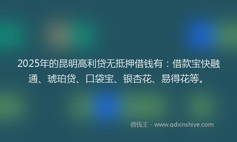 2025年的昆明高利贷无抵押借钱有：借款宝快融通、琥珀贷、口袋宝、银杏花、易得花等。