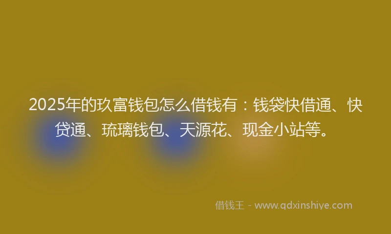 2025年的玖富钱包怎么借钱有：钱袋快借通、快贷通、琉璃钱包、天源花、现金小站等。