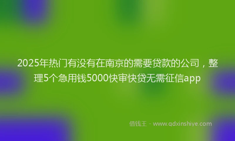 2025年热门有没有在南京的需要贷款的公司，整理5个急用钱5000快审快贷无需征信app