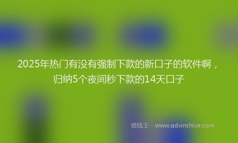 2025年热门有没有强制下款的新口子的软件啊，归纳5个夜间秒下款的14天口子