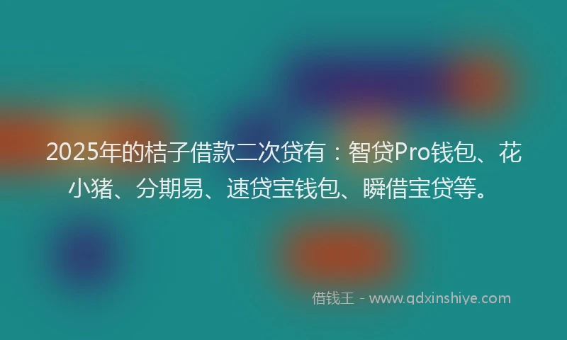 2025年的桔子借款二次贷有：智贷Pro钱包、花小猪、分期易、速贷宝钱包、瞬借宝贷等。
