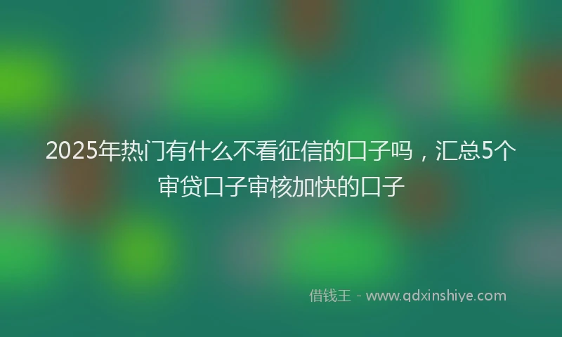 2025年热门有什么不看征信的口子吗，汇总5个审贷口子审核加快的口子