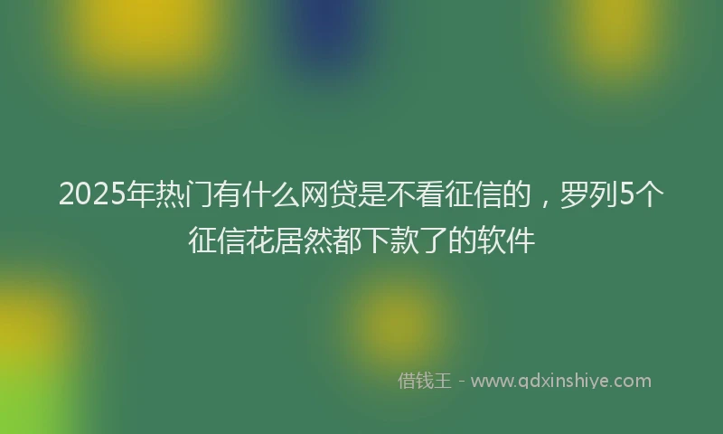 2025年热门有什么网贷是不看征信的，罗列5个征信花居然都下款了的软件
