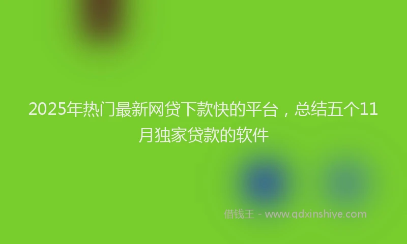 2025年热门最新网贷下款快的平台，总结五个11月独家贷款的软件